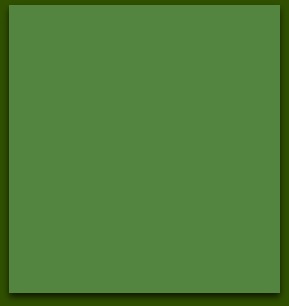 box_green_with_border_2.jpg