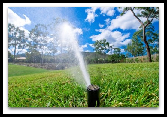 lawn_sprinkler_system.jpg