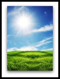 lawn_sun.jpg