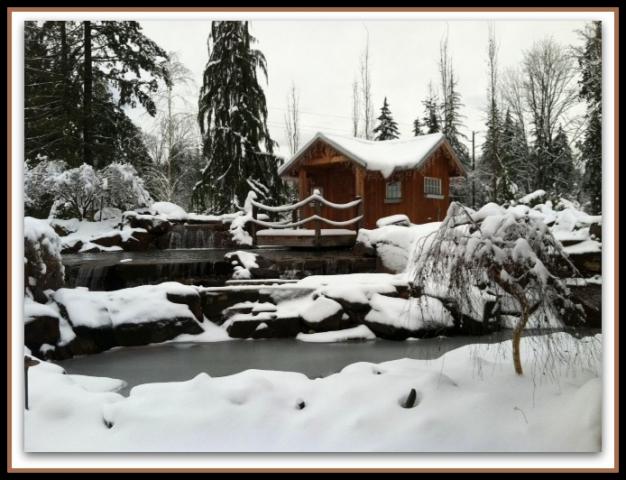 snow_and_pond.jpg